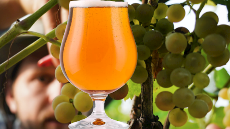 IGA: la birra incontra l’uva
