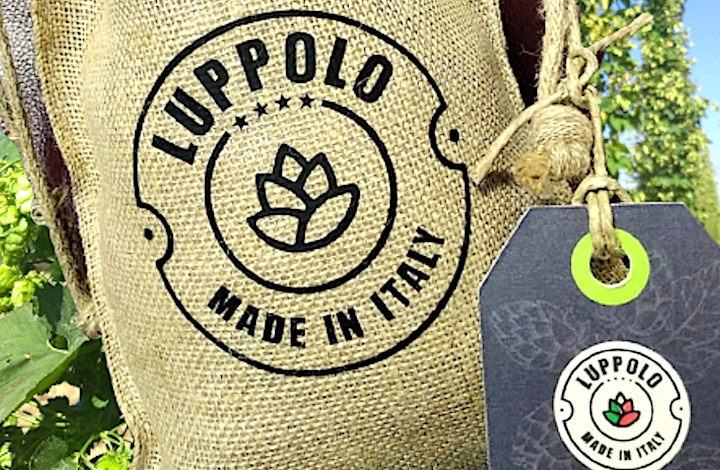 Luppolo italiano: nasce in Umbria la filiera a livello nazionale