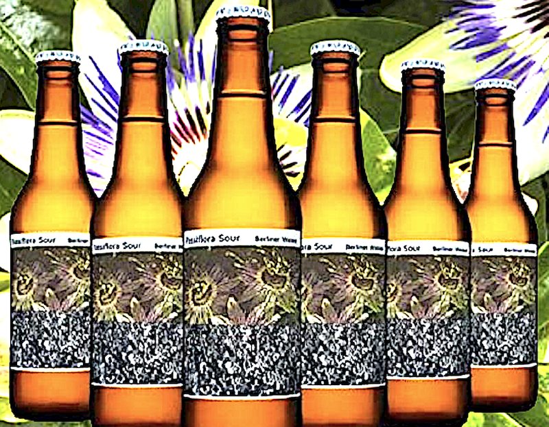 Passiflora American Ipa: un’emozionante Flavoured Wild Sour