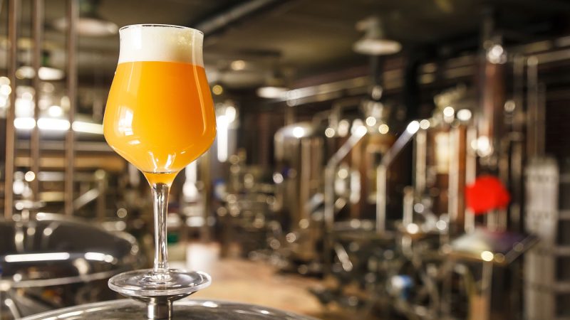 Fermentazione e Lievito:  protagonisti misteriosi della Birra