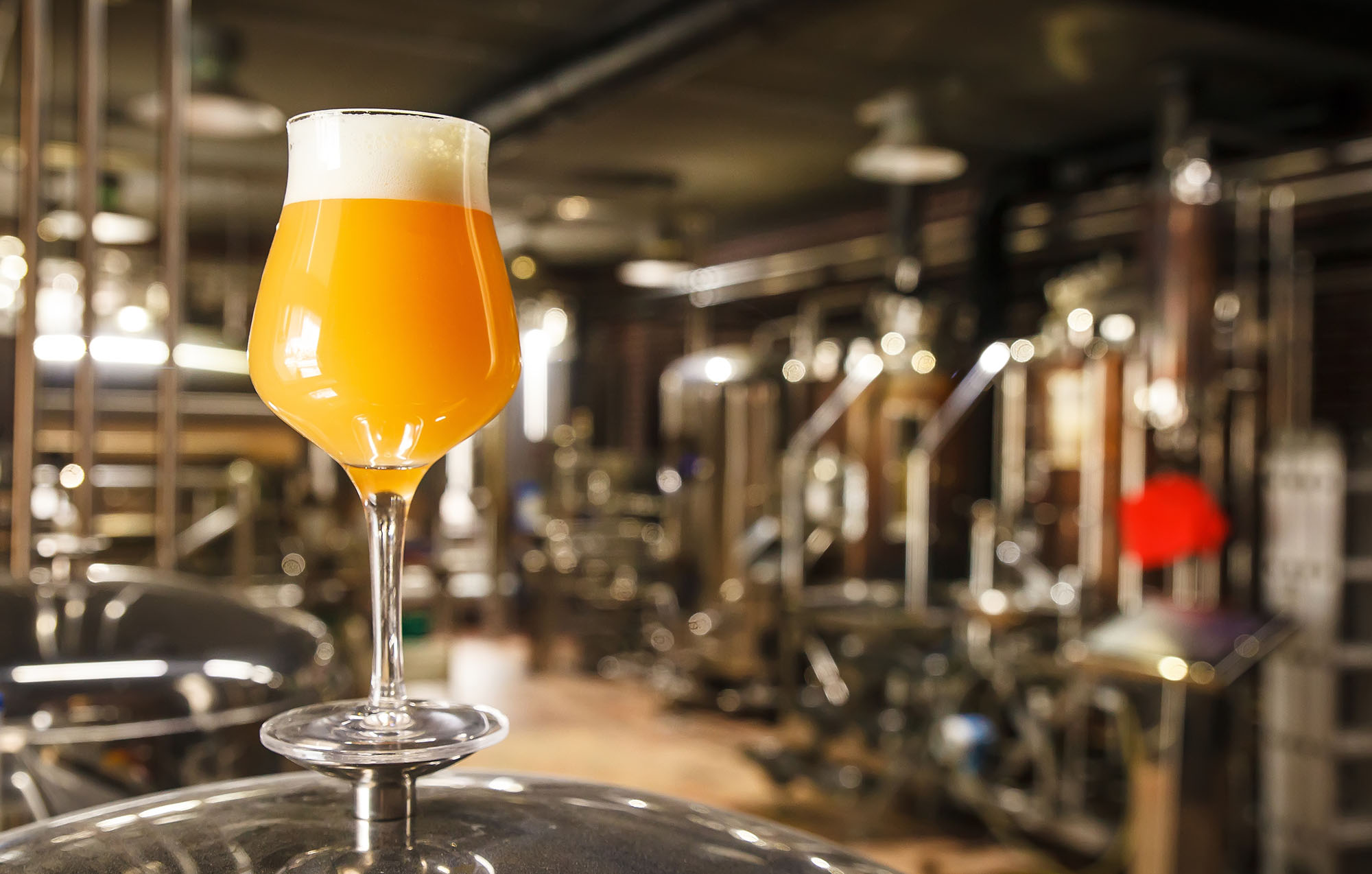 Fermentazione e Lievito: protagonisti misteriosi della Birra