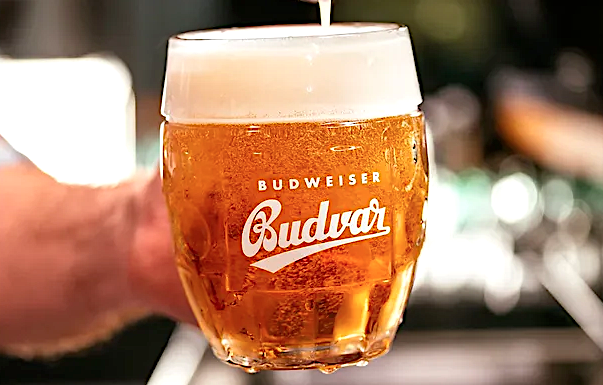 Budweiser Budvar nuova partership