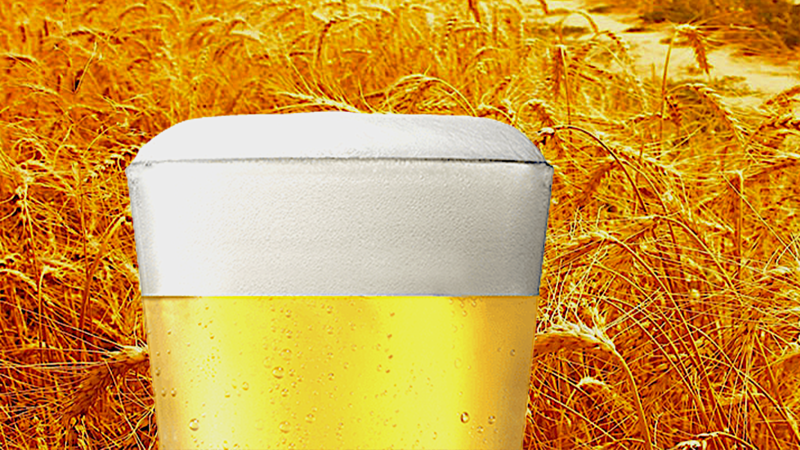 Bière Blanche la spumeggiante birra di frumento.