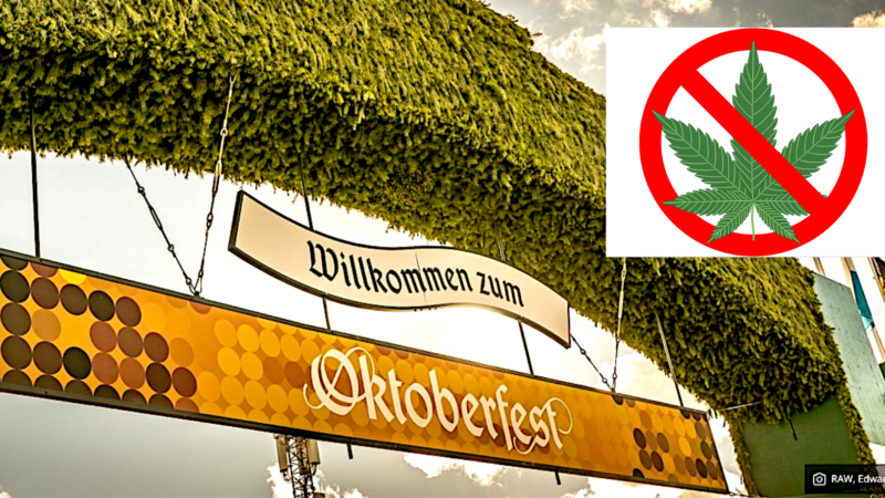 Oktoberfest 2024 solo birra, niente cannabis! Anche se ora è legalizzata in Germania.