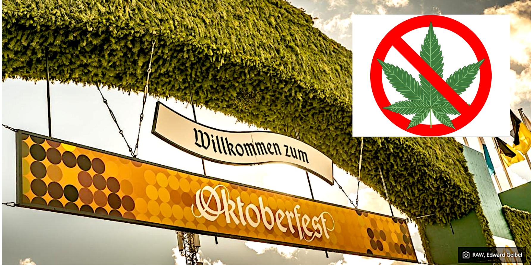 Oktoberfest 2024 solo birra, niente cannabis! Anche se ora è legalizzata in Germania.