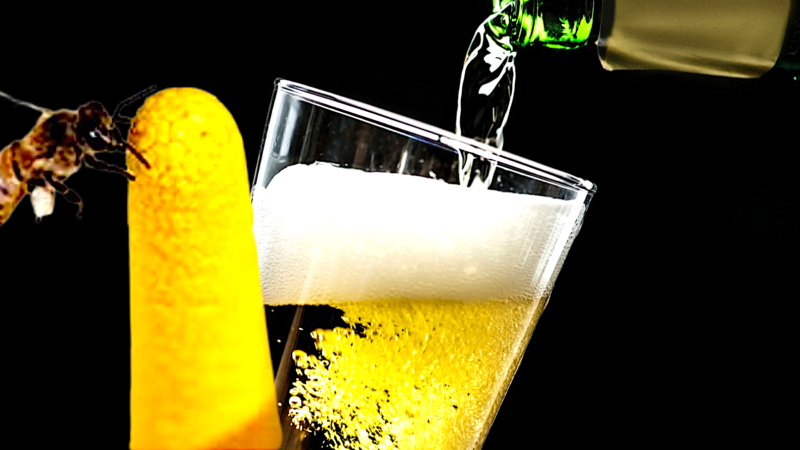 Birra con il lievito ricavato dalle api killer africane.